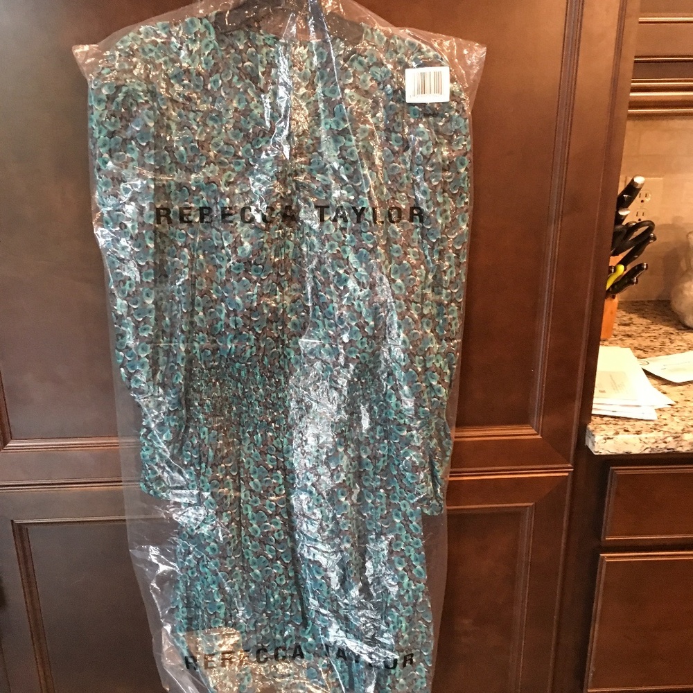 Rebecca Taylor climbing rose silk blend dress